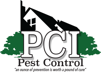 Pest control southend